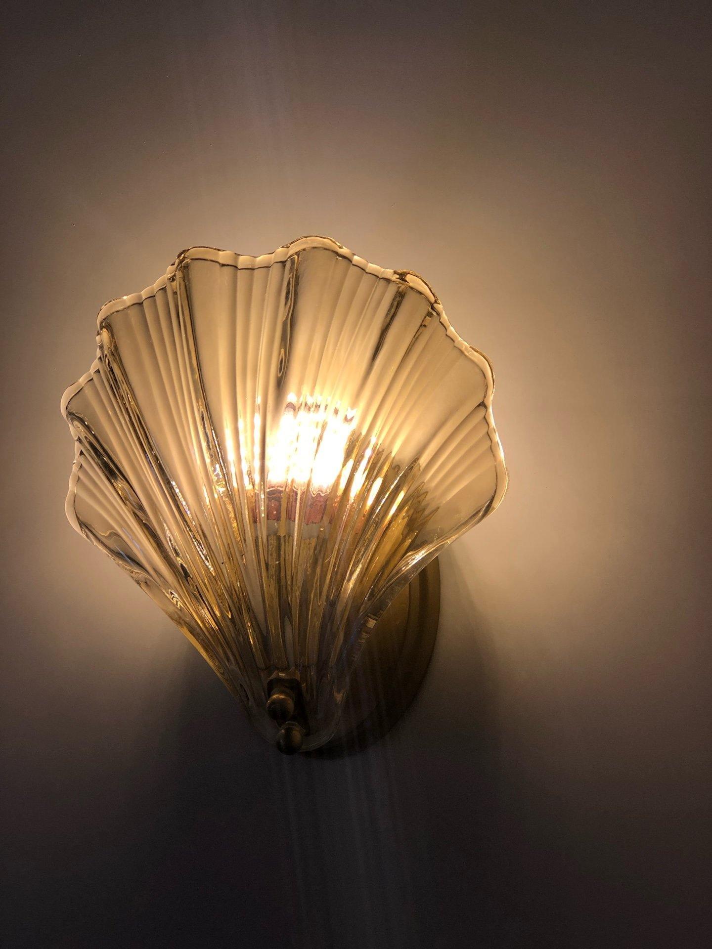 Oceanic Glass Amber Shell wandlamp, galerijweergave 17